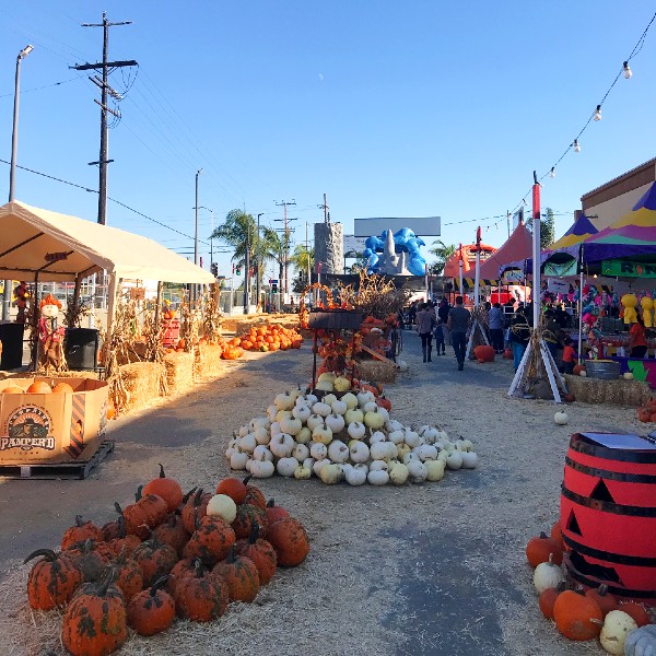 pumpkin patch van nuys